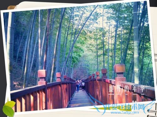 宜兴竹海景点旅游介绍