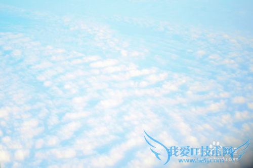 三亚旅游教你吃海鲜不被宰