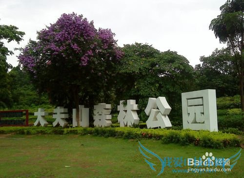 广州有哪些地方好玩的?来广州必须去哪些地方?