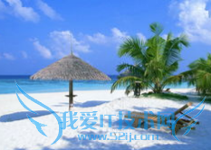 如何节约旅游成本