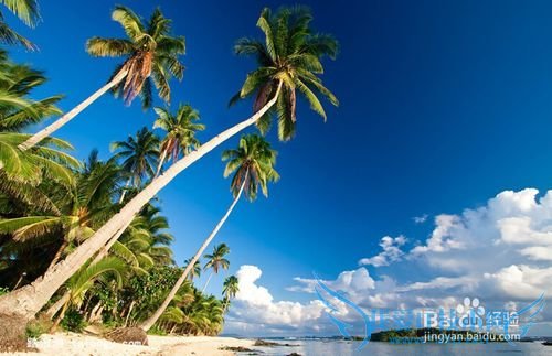 夏天旅游季 最浪漫海岛推荐