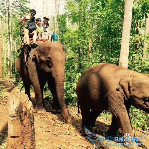 带着孩子一起旅游需要注意什么_带孩子旅游去哪