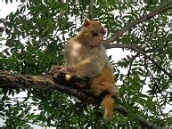 去三清山、庐山旅游,要带好装备哦!!!