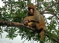 去三清山、庐山旅游,要带好装备哦!!!