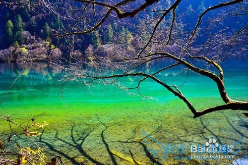 中国旅游景点排名