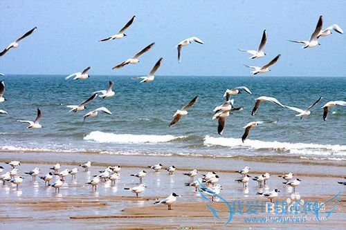 山东旅游常见小结: