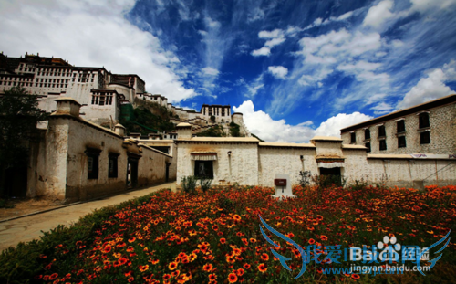 拉萨旅游之布达拉宫