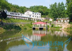 信阳虽不大,也值得转转。信阳旅游别错过的风景