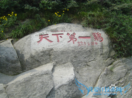 信阳虽不大,也值得转转。信阳旅游别错过的风景