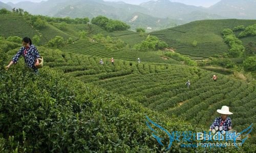 信阳虽不大,也值得转转。信阳旅游别错过的风景