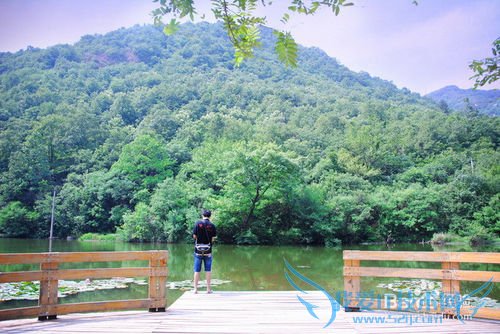 信阳虽不大,也值得转转。信阳旅游别错过的风景