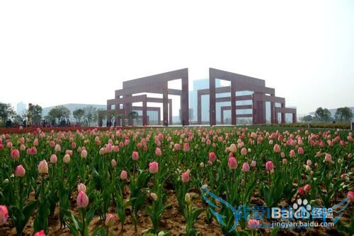 信阳虽不大,也值得转转。信阳旅游别错过的风景