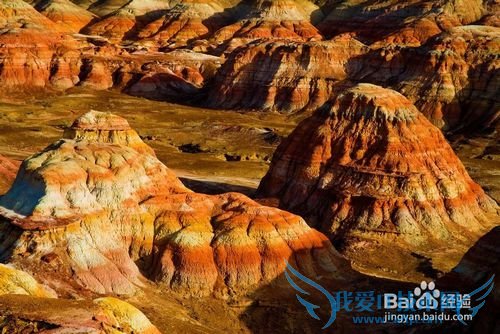 乌鲁木齐旅游攻略——唯有爱与美食不可辜负