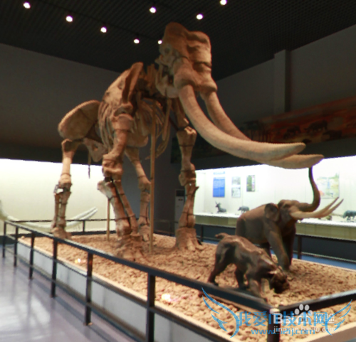 假期旅游之安徽博物馆