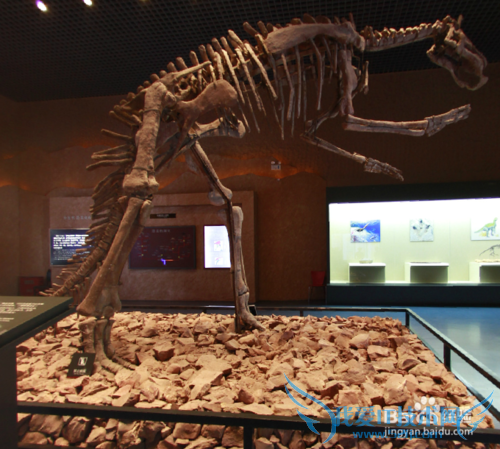 假期旅游之安徽博物馆