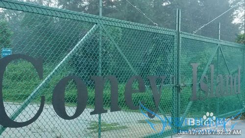 新加坡科尼岛(Coney Island)旅游全攻略