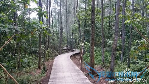 新加坡科尼岛(Coney Island)旅游全攻略