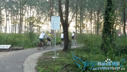新加坡科尼岛(Coney Island)旅游全攻略