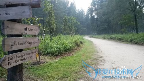 新加坡科尼岛(Coney Island)旅游全攻略