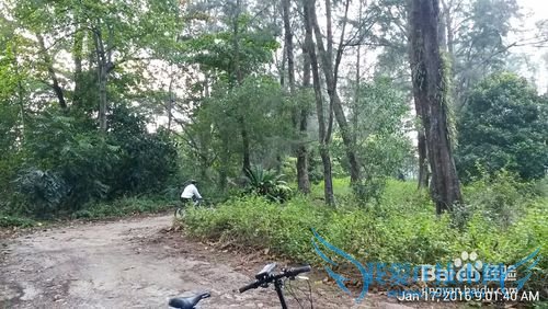 新加坡科尼岛(Coney Island)旅游全攻略