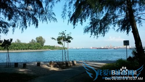 新加坡科尼岛(Coney Island)旅游全攻略