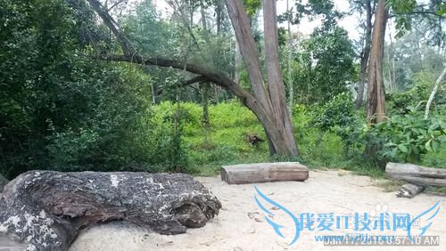 新加坡科尼岛(Coney Island)旅游全攻略