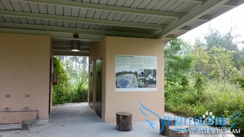 新加坡科尼岛(Coney Island)旅游全攻略