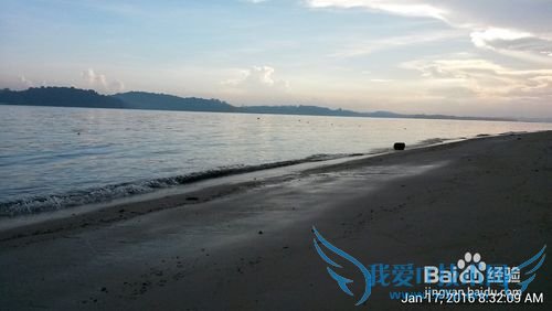 新加坡科尼岛(Coney Island)旅游全攻略