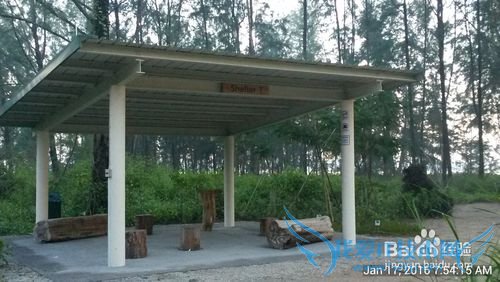 新加坡科尼岛(Coney Island)旅游全攻略