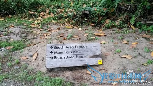 新加坡科尼岛(Coney Island)旅游全攻略