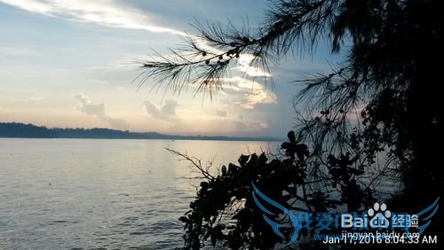 新加坡科尼岛(Coney Island)旅游全攻略
