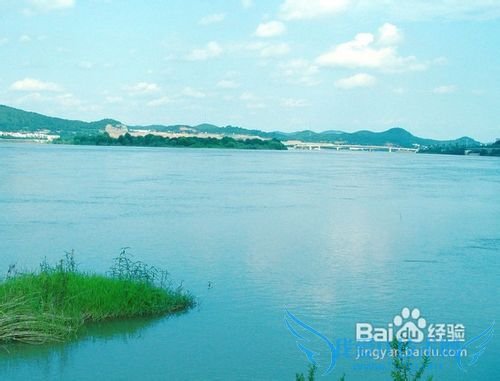 想去四川旅游哪些地方好?