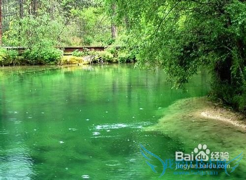 想去四川旅游哪些地方好?