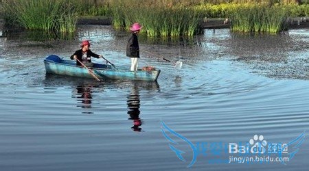 去湖区旅游,有哪些需要注意的事情?