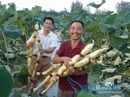 去湖区旅游,有哪些需要注意的事情?
