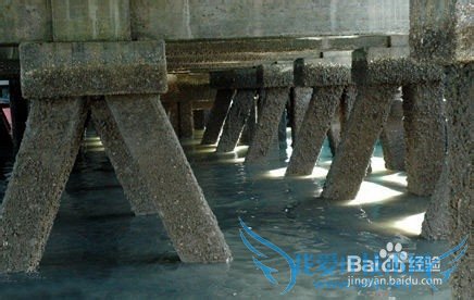 儋州旅游全攻略