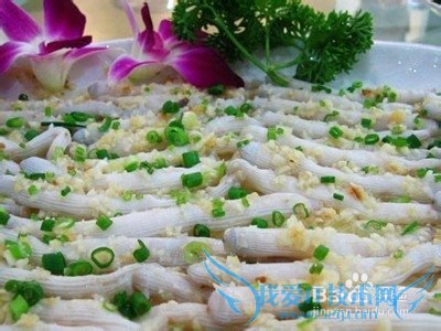 儋州旅游全攻略