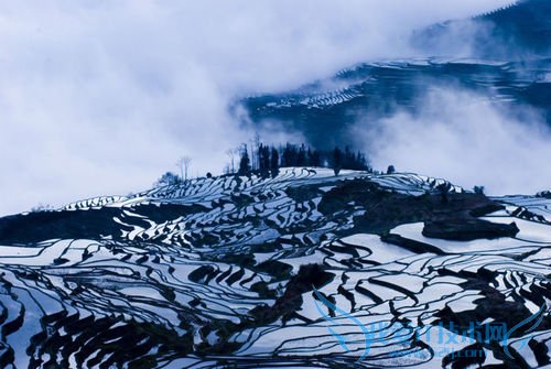 怎样选择云南旅游最佳时间