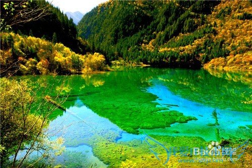 诚品九寨沟自由行新攻略