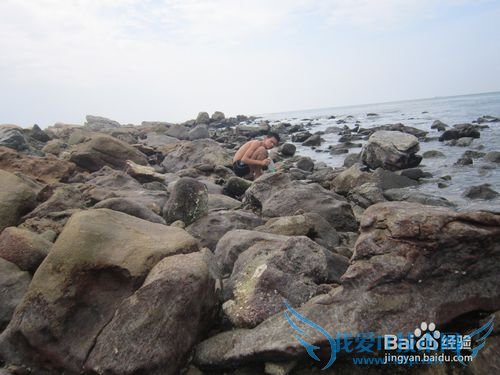 荷包岛自助游,又省钱又好玩