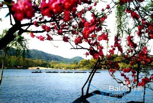 女性独自旅游安全保障