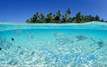 十一假期马尔代夫旅游攻略