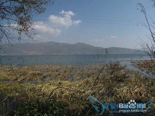 云南穷游旅游攻略