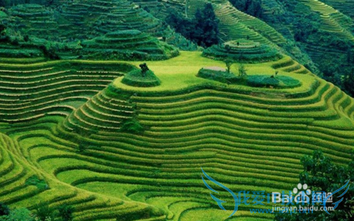 2015年暑假去哪里旅游最好,暑假旅游线路推荐