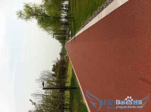 太湖苏州湾旅游分享