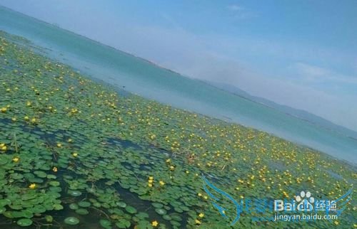 太湖苏州湾旅游分享