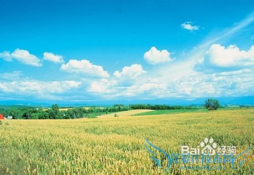 韩国旅游特别小结: