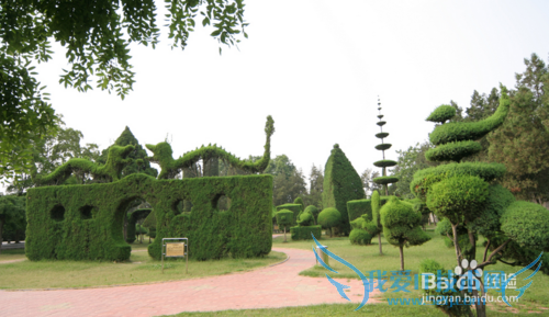 河南淮阳旅游攻略