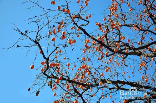 西安旅游景点盘点