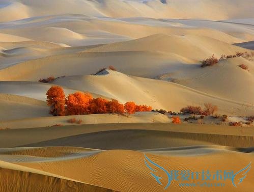 甘肃自助旅游攻略